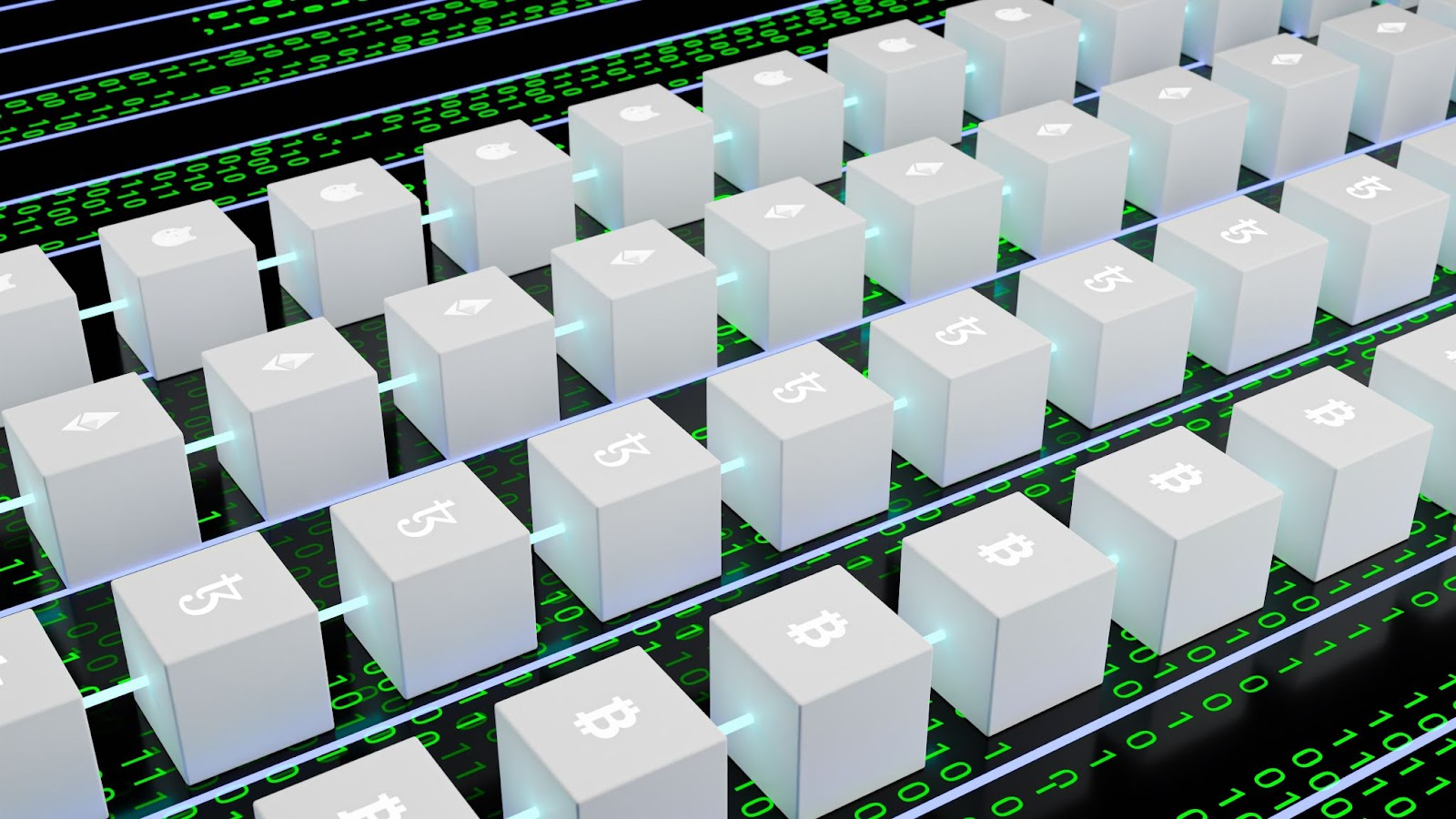 rows of various blockchains